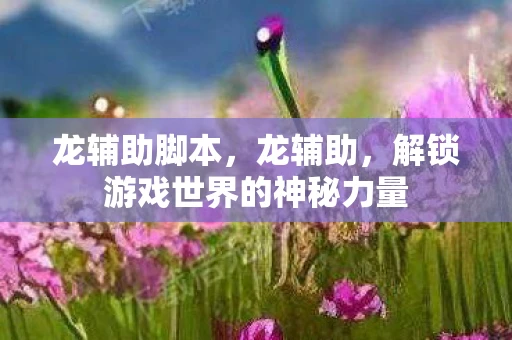 龙辅助脚本，龙辅助，解锁游戏世界的神秘力量
