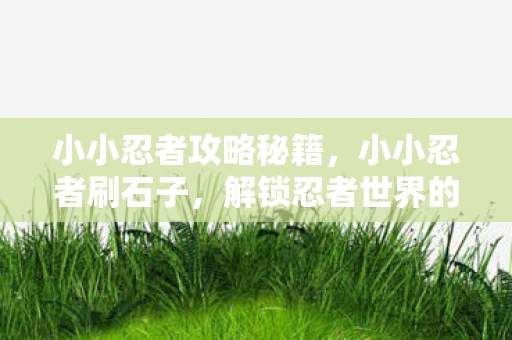 小小忍者攻略秘籍，小小忍者刷石子，解锁忍者世界的秘密