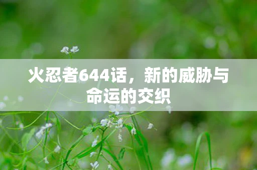 火忍者644话，新的威胁与命运的交织