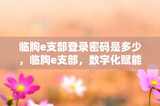 临朐e支部登录密码是多少，临朐e支部，数字化赋能基层党建的新探索
