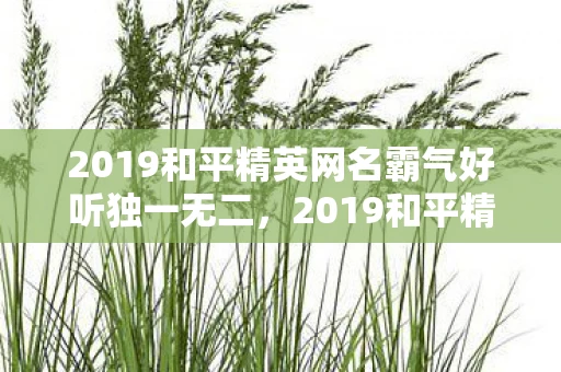 2019和平精英网名霸气好听独一无二，2019和平精英名字霸气好听