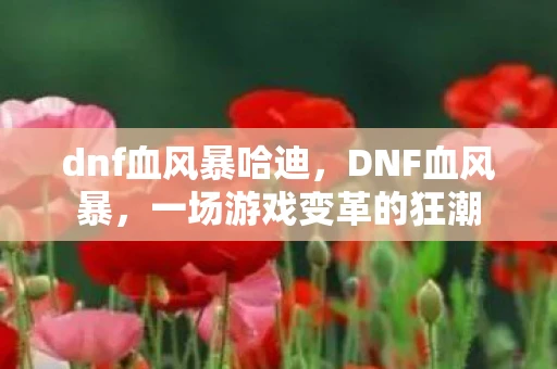 dnf血风暴哈迪，DNF血风暴，一场游戏变革的狂潮
