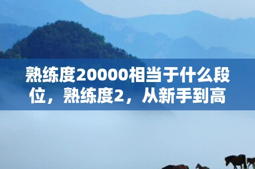 熟练度20000相当于什么段位，熟练度2，从新手到高手的蜕变之路