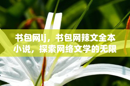 书包网lj，书包网辣文全本小说，探索网络文学的无限可能