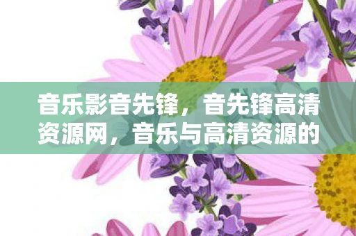 音乐影音先锋，音先锋高清资源网，音乐与高清资源的交汇点