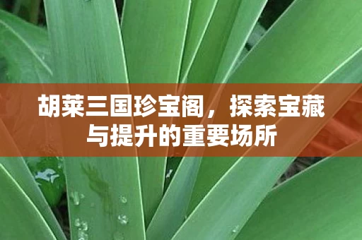 探索宝藏与提升的重要场所图片