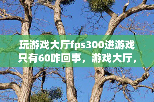 玩游戏大厅fps300进游戏只有60咋回事，游戏大厅，连接虚拟与现实的桥梁