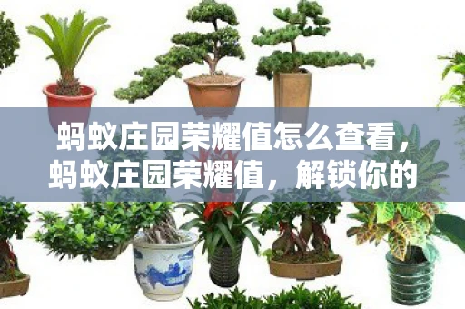 蚂蚁庄园荣耀值怎么查看，蚂蚁庄园荣耀值，解锁你的数字生活新成就