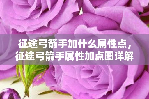 征途弓箭手加什么属性点，征途弓箭手属性加点图详解