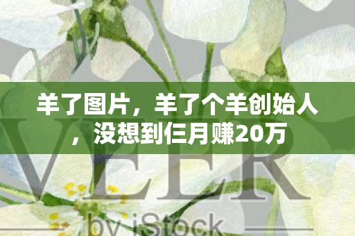 羊了图片，羊了个羊创始人，没想到仨月赚20万