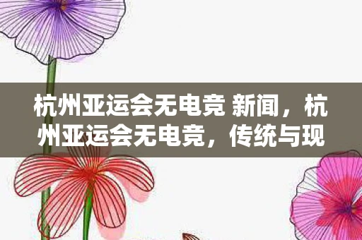 杭州亚运会无电竞 新闻，杭州亚运会无电竞，传统与现代的碰撞