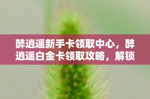 醉逍遥新手卡领取中心，醉逍遥白金卡领取攻略，解锁高端会员特权