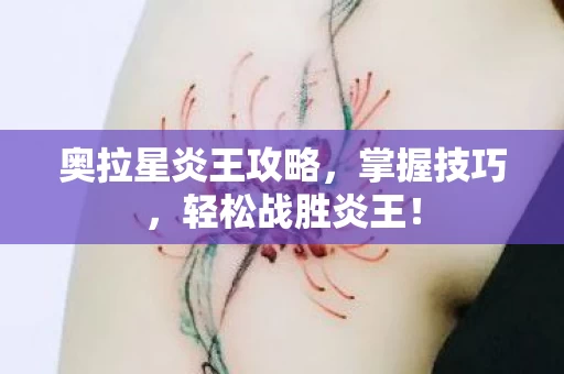 奥拉星炎王攻略图片