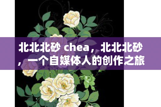 北北北砂 chea，北北北砂，一个自媒体人的创作之旅