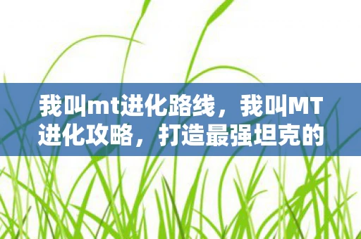 我叫mt进化路线，我叫MT进化攻略，打造最强坦克的必备指南