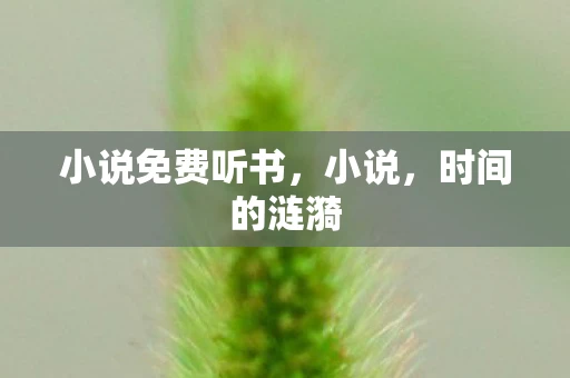 小说免费听书，小说，时间的涟漪
