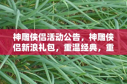 神雕侠侣活动公告，神雕侠侣新浪礼包，重温经典，重温武侠梦