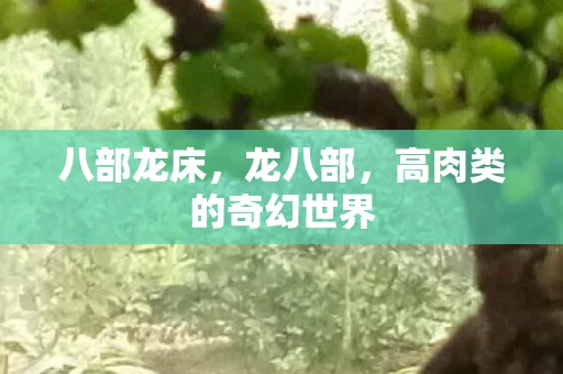 八部龙床，龙八部，高肉类的奇幻世界