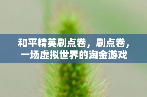 和平精英刷点卷，刷点卷，一场虚拟世界的淘金游戏