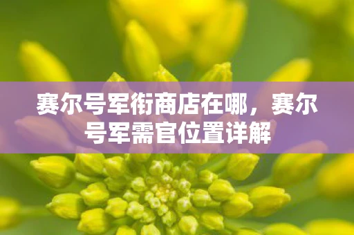 赛尔号军衔商店在哪，赛尔号军需官位置详解