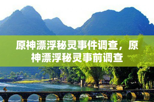 原神漂浮秘灵事件调查，原神漂浮秘灵事前调查