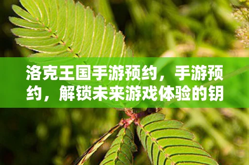 洛克王国手游预约，手游预约，解锁未来游戏体验的钥匙