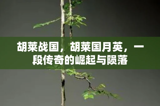 胡莱战国，胡莱国月英，一段传奇的崛起与陨落