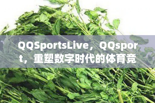 QQSportsLive，QQsport，重塑数字时代的体育竞技体验