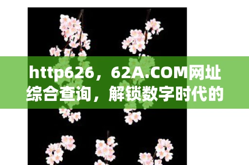 http626，62A.COM网址综合查询，解锁数字时代的网络导航新体验
