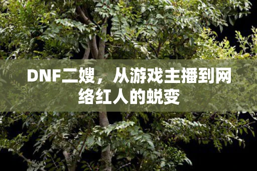 DNF二嫂，从游戏主播到网络红人的蜕变
