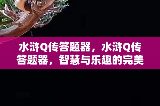 水浒Q传答题器，水浒Q传答题器，智慧与乐趣的完美结合