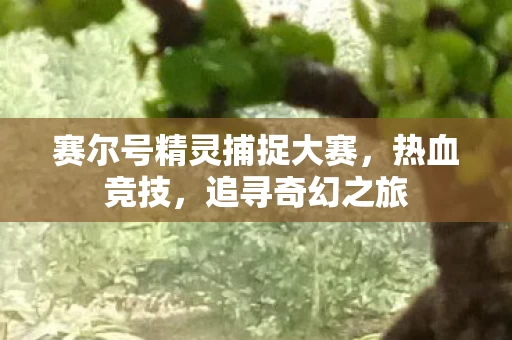 赛尔号精灵捕捉大赛图片