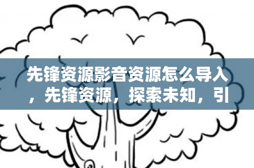 先锋资源影音资源怎么导入，先锋资源，探索未知，引领未来