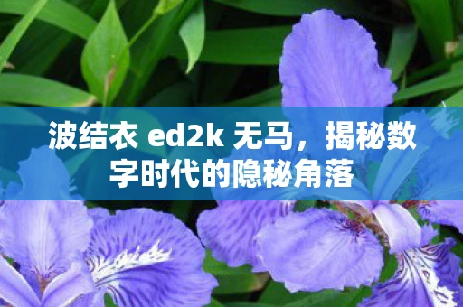 波结衣 ed2k 无马，揭秘数字时代的隐秘角落