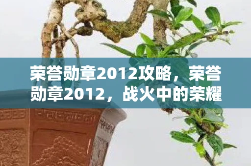 荣誉勋章2012攻略，荣誉勋章2012，战火中的荣耀