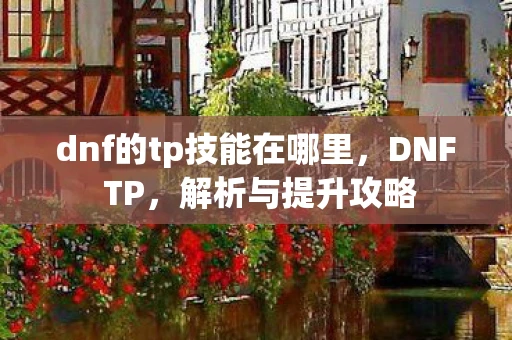 dnf的tp技能在哪里，DNF TP，解析与提升攻略