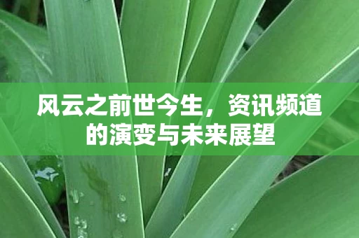 资讯频道的演变与未来展望图片