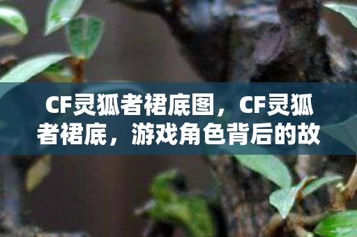CF灵狐者裙底图，CF灵狐者裙底，游戏角色背后的故事与玩家情感
