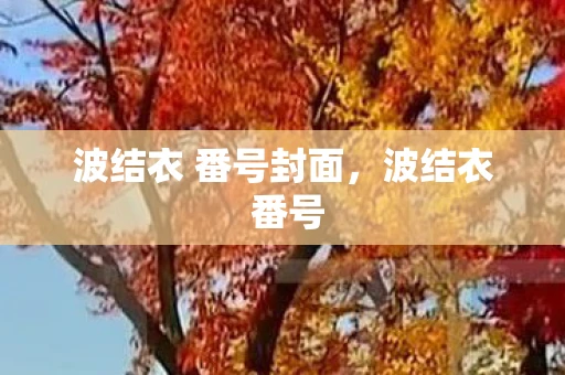 波结衣 番号封面，波结衣 番号