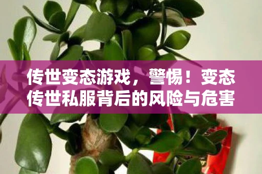 传世变态游戏，警惕！变态传世私服背后的风险与危害
