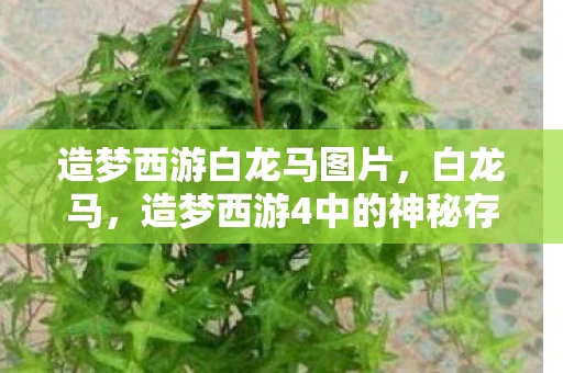 造梦西游白龙马图片，白龙马，造梦西游4中的神秘存在