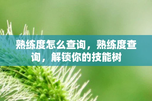 熟练度怎么查询，熟练度查询，解锁你的技能树