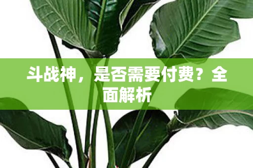 是否需要付费图片