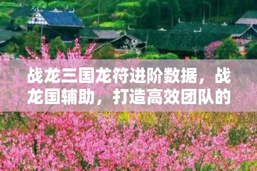 战龙三国龙符进阶数据，战龙国辅助，打造高效团队的秘密武器