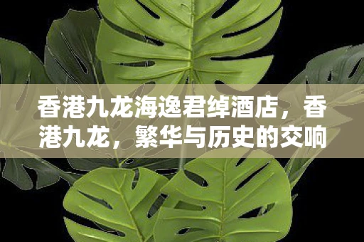 香港九龙海逸君绰酒店，香港九龙，繁华与历史的交响曲