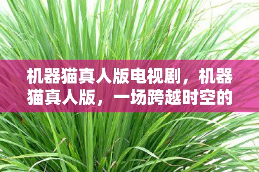 机器猫真人版电视剧，机器猫真人版，一场跨越时空的奇幻之旅