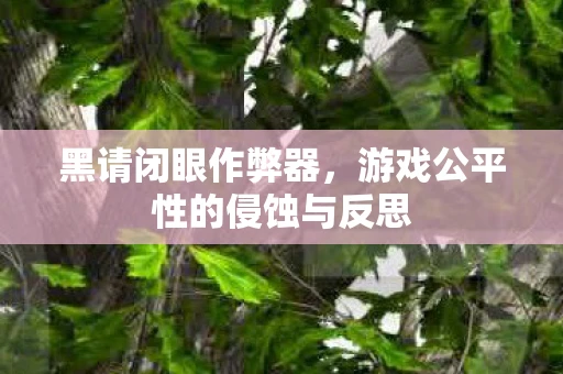 黑请闭眼作弊器，游戏公平性的侵蚀与反思