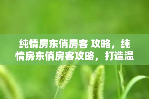 纯情房东俏房客 攻略，纯情房东俏房客攻略，打造温馨和谐的合租生活