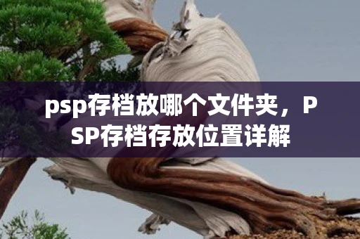 psp存档放哪个文件夹，PSP存档存放位置详解