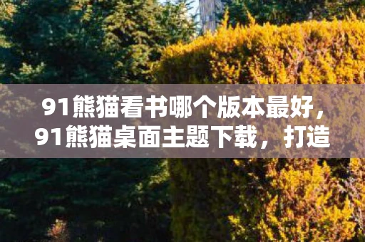 91熊猫看书哪个版本最好，91熊猫桌面主题下载，打造个性化手机新体验